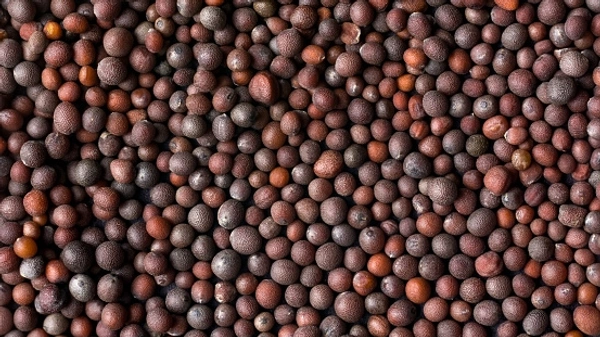 Mustard Seeds Black(Sorso) 100 GM - 